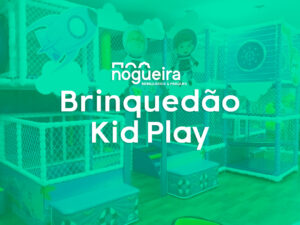 Brinquedão Kid Play